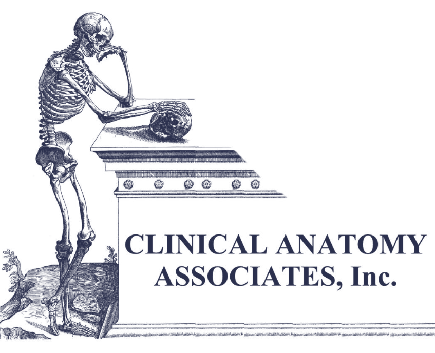 Clinical Anatomy Associates